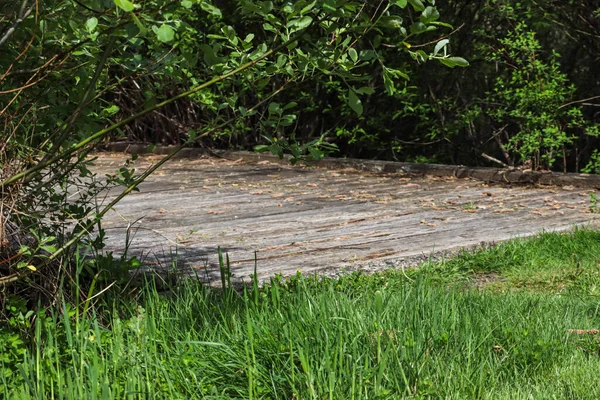 Grass and weeds in front of small wooden bridge — Stock Photo, Image