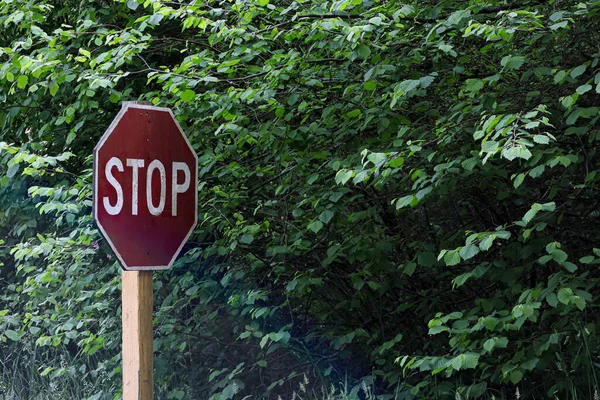 A stop sign in danger of being covered by bushes — Stock Photo, Image