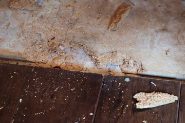 Alt kat tahtasından levye parçaları çıktı.