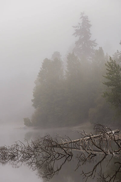 Озеро покрыто густым утренним туманом