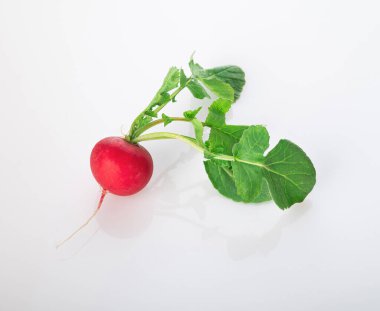 Beyaz arka planda taze yeşil yapraklı taze turp.