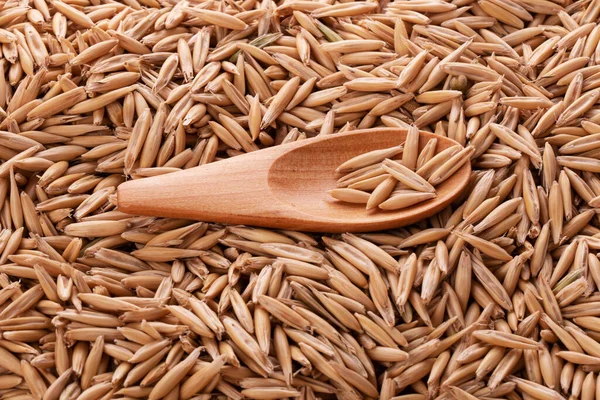 Oat Grains Wooden Spoon Background Scattered Oat Grains — Stock Photo, Image