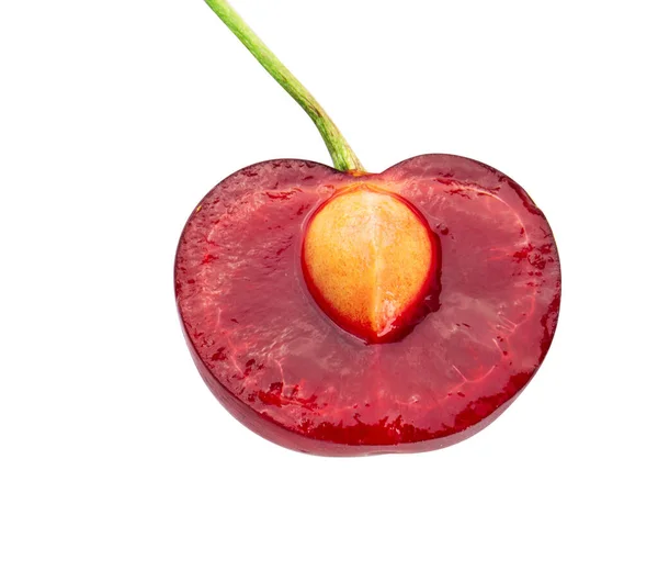 Cherries Cut Half Isolated White Background — Stock Photo, Image