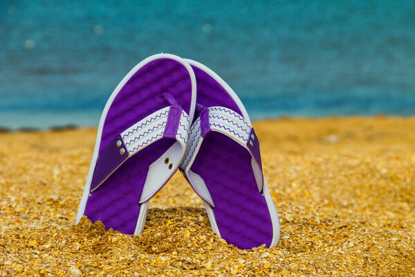 Pair of flip flops sticking up on a sandy sea beach. Summer vacation concept