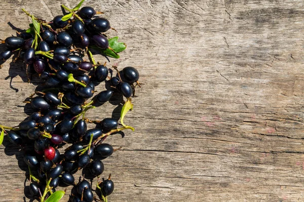 Svarta Vinbär Bär Rustika Trä Bakgrund Ovanifrån Med Kopia Utrymme — Stockfoto