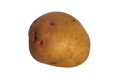 Beyaz arkaplanda izole edilmiş patates