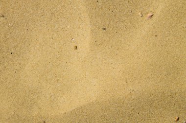 Kum dokusu. Arka plan için kumsal