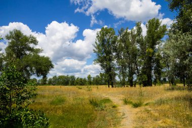 Yaz, yatay, yeşil ağaçlar, çayır ve mavi gökyüzü
