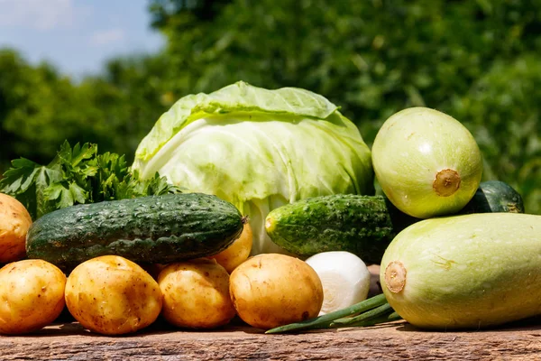 Verduras Frescas Mesa Madera Rústica Aire Libre Col Pepinos Perejil — Foto de Stock