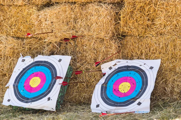 Two archery targets on a straw background