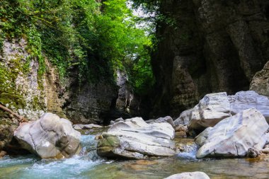 Georgia 'daki Martvili Kanyonu. Dağ nehri manzaralı güzel doğal kanyon Abasha