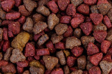 Kedi ya da köpek için yakın plan kuru yiyecek. Evcil hayvan besin geçmişi