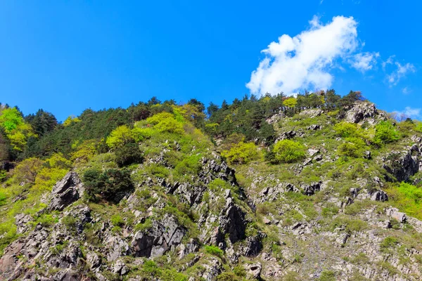 View Caucasian Mountains Georgia — Stock Photo, Image