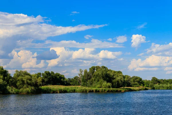 Летний Пейзаж Красивым Озером Зелеными Деревьями Голубым Небом — стоковое фото