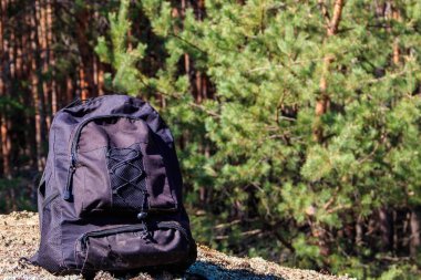 Çam ormanlarında turist sırt çantası. Yürüyüş konsepti