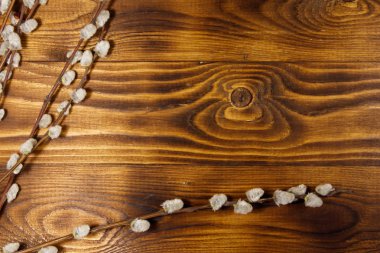 Kukum twigs ahşap arka plan üzerinde. Üstten görünüm, kopya alanı