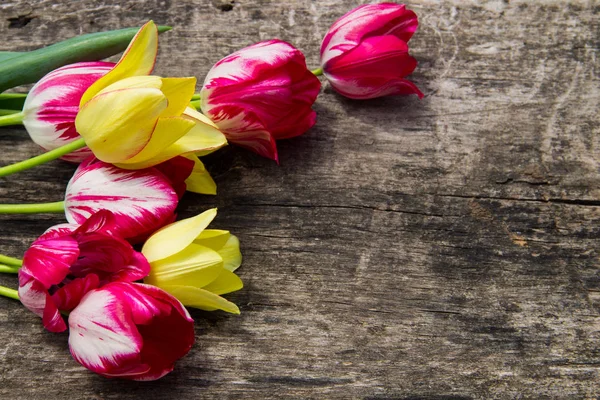 Red Yellow Tulips Rustic Wooden Background Copy Space — Stock Photo, Image