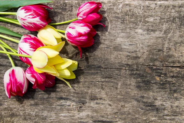 Red Yellow Tulips Rustic Wooden Background Copy Space — Stock Photo, Image