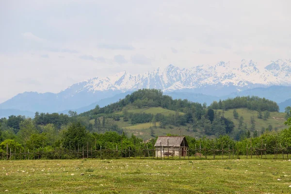 Старий Дерев Яний Сарай Селі Горах Кавказу — стокове фото