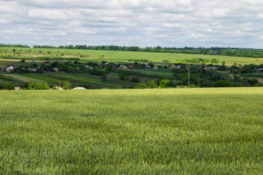 Ukrayna köyde yaz görüntüleyin