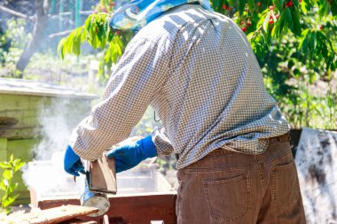 Bir arı sigara içen arılar sakinleştirmeye kullanarak arıcı