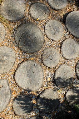 Kaldırım kıyılmış günlükleri