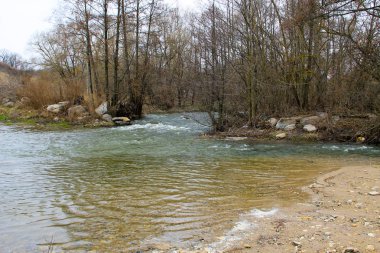 İlkbaharda ormandaki nehir