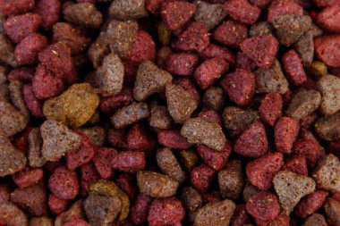 Kedi ya da köpek için yakın plan kuru yiyecek. Evcil hayvan besin geçmişi