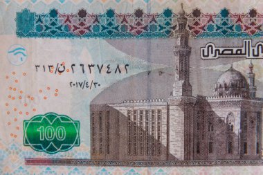 100 Mısırlı banknotun makro çekimi