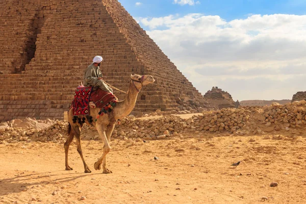 Beduiński Wielbłąd Pobliżu Wielkich Piramid Gizie Kair Egipt — Zdjęcie stockowe