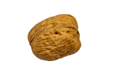 Beyaz arkaplanda izole edilmiş tek büyük ceviz