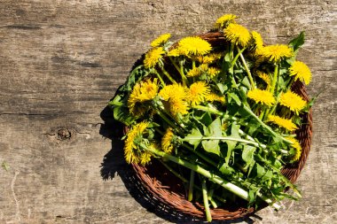 Hasır sepet rustik ahşap zemin üzerine sarı karahindiba çiçeklenir. Üstten Görünüm