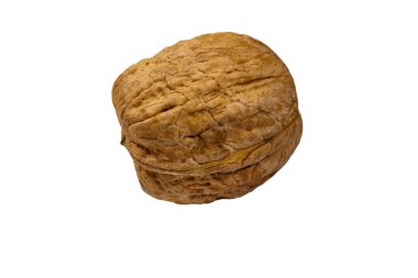 Beyaz arkaplanda izole edilmiş tek büyük ceviz