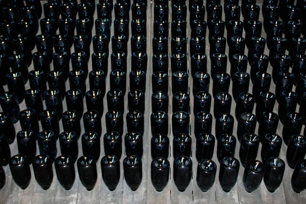 와이너리의 와인 저장 고에서 많은 와인 병 — 스톡 사진