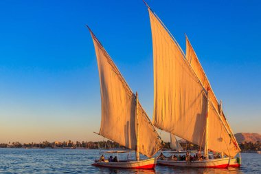 Felucca tekneleri Lüksör, Mısır 'da Nil nehrinde yelken açıyorlar. Geleneksel Mısır yelkenli tekneleri