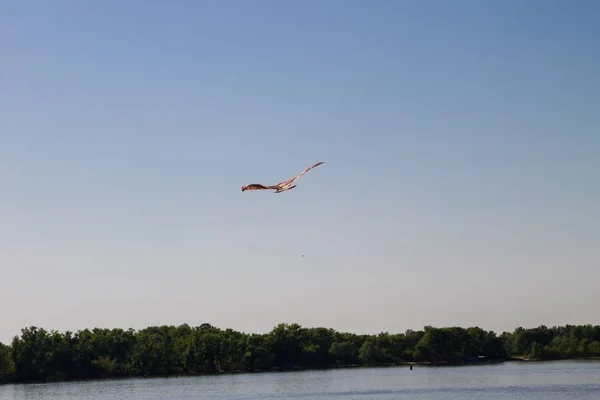 Kite voando no céu sobre um rio — Fotografia de Stock