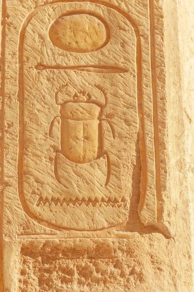Scarab hiëroglief carving op de muur — Stockfoto
