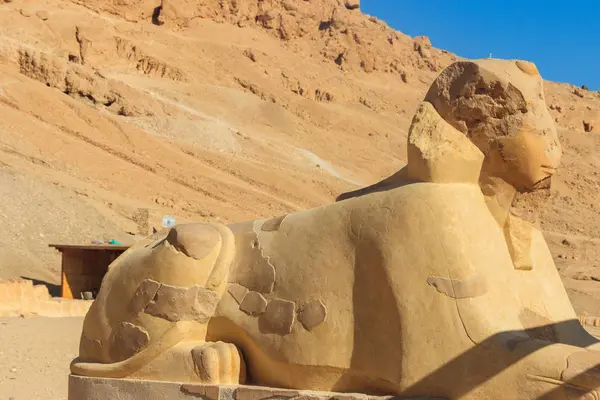 Sfinga nedaleko Mortukového chrámu Hatšepsutu v Luxor, Egypt — Stock fotografie
