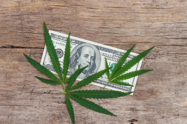 Folhas de cannabis verde e nota de 100 dólares na mesa de madeira — Fotografia de Stock