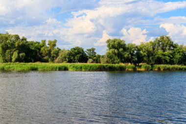 Güzel gölü, yeşil ağaçları ve mavi gökyüzü olan yaz manzarası.