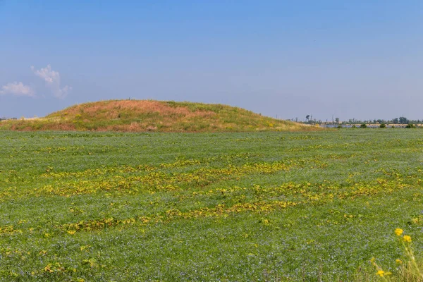 Montículo de entierro escita en un campo en el sur de Ucrania — Foto de Stock