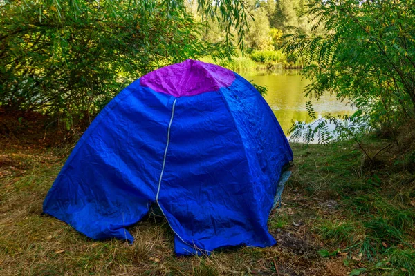 Tienda de campaña azul en el bosque cerca de un río — Foto de Stock