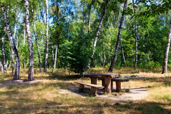 Picknickplaats in Birch Grove. Houten tafel en banken in berken bos — Stockfoto