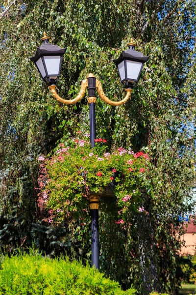 Street lantern decorated with geranium flowers in flowerpot — Stock Photo, Image