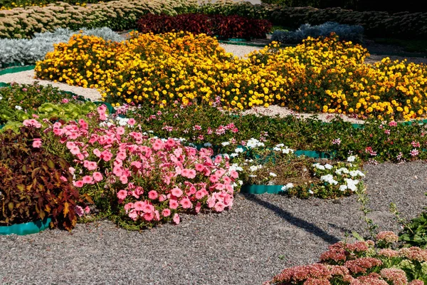 Florero con petunia rosa y flores de caléndula amarilla en el parque — Foto de Stock