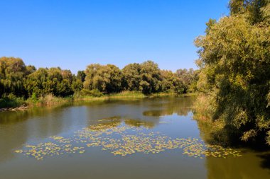 Myrhorod, Ukrayna'da Khorol nehri manzarası