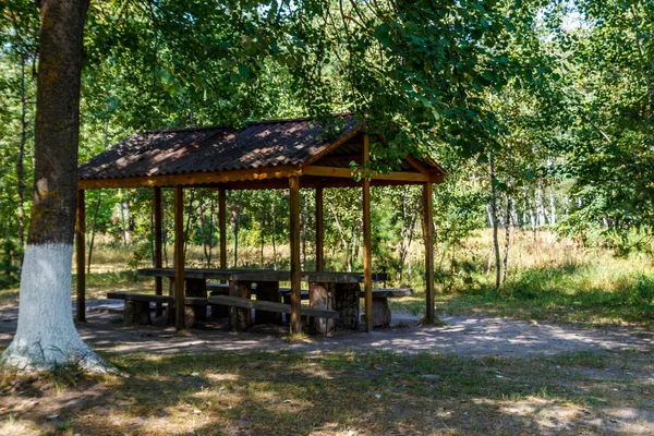 Місце для пікніка в парку. Дерев'яний стіл і лавки в зеленому лісі — стокове фото