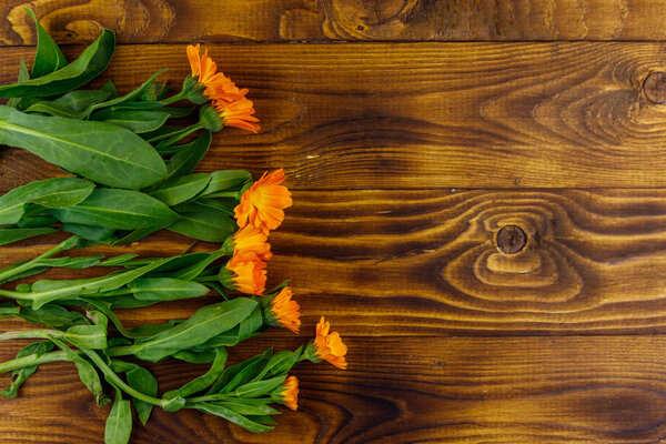 Calendula flowers on the wooden background. Top view, copy space