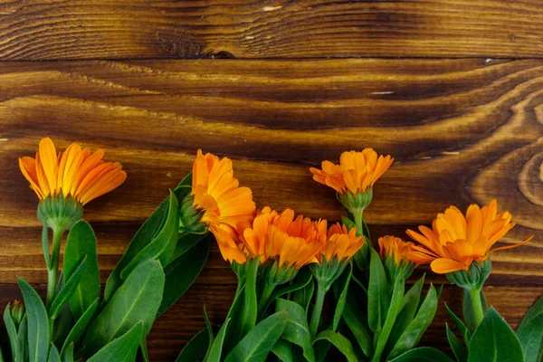 लकड़ी की पृष्ठभूमि पर कैलेंडुला फूल। शीर्ष दृश्य, कॉपी स्पेस — स्टॉक फ़ोटो, इमेज