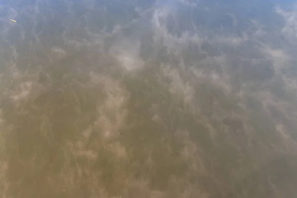 Nebbia sopra un primo piano dell'acqua — Foto Stock